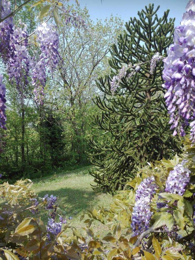 Bed and Breakfast La Vie En Rose Buia Exterior foto