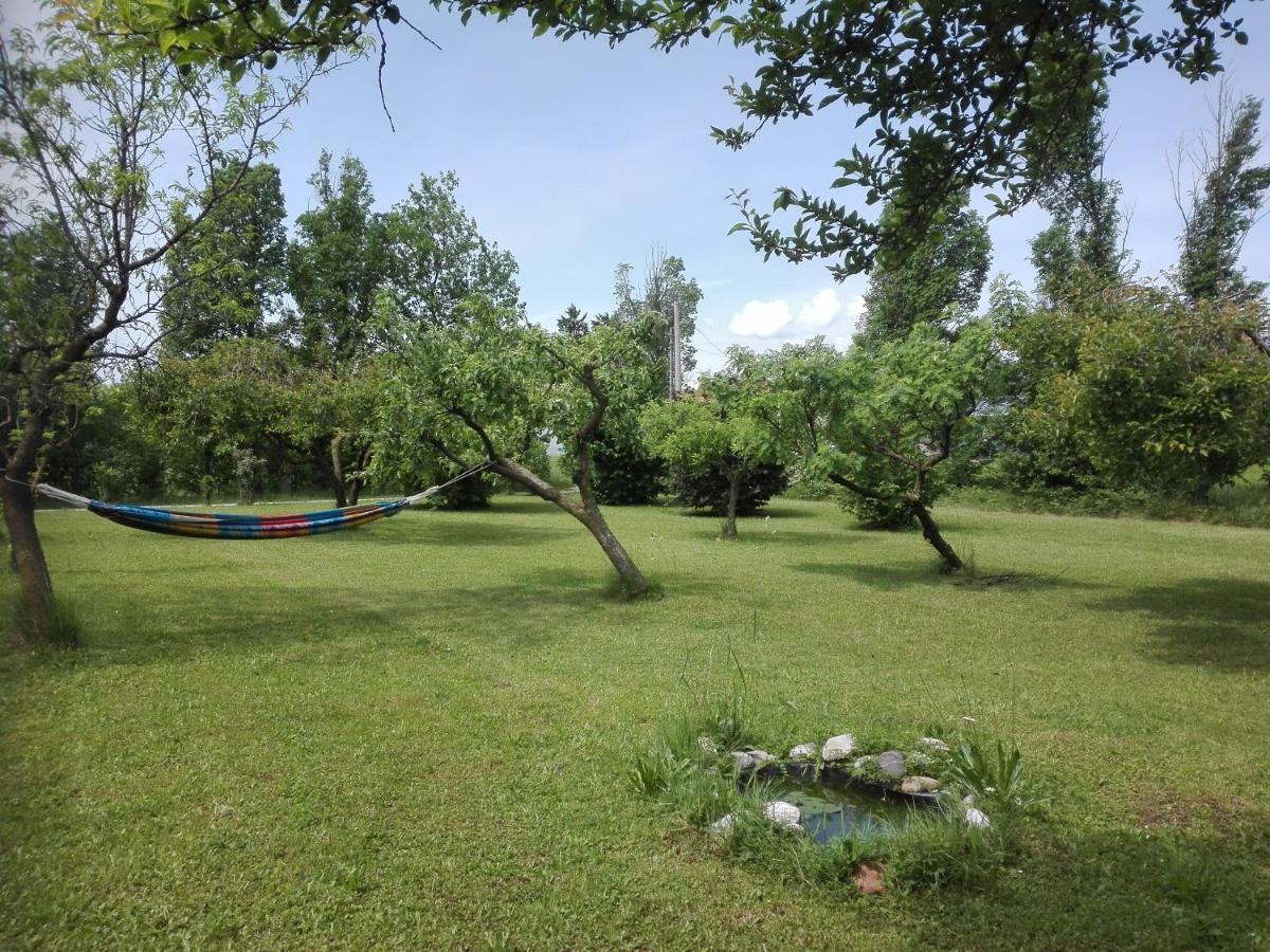 Bed and Breakfast La Vie En Rose Buia Exterior foto