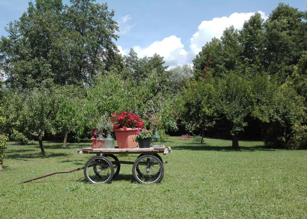 Bed and Breakfast La Vie En Rose Buia Exterior foto